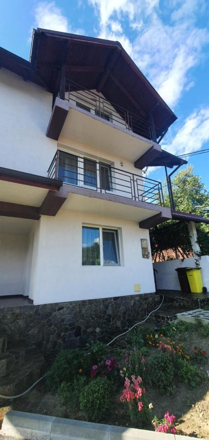 Casa Silvia Otel Căpăţîneni-Ungureni Dış mekan fotoğraf