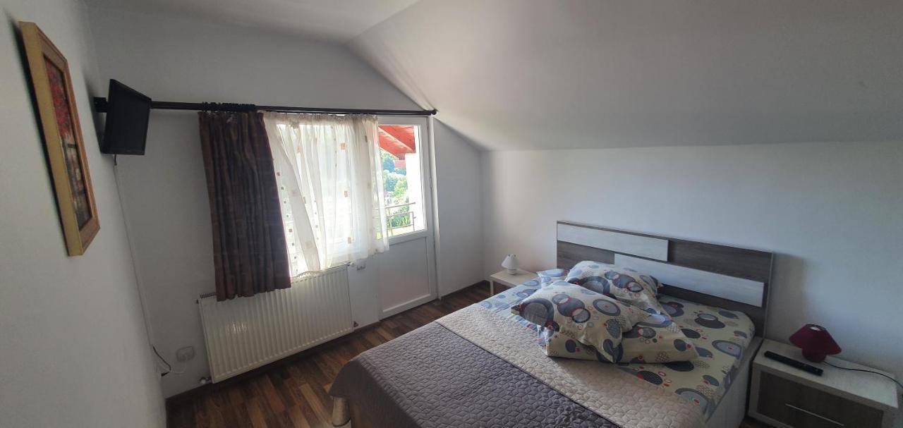 Casa Silvia Otel Căpăţîneni-Ungureni Dış mekan fotoğraf