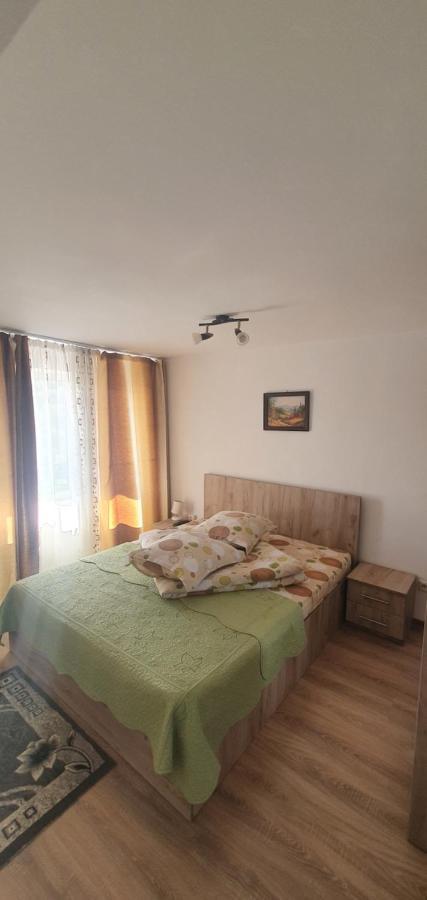 Casa Silvia Otel Căpăţîneni-Ungureni Dış mekan fotoğraf