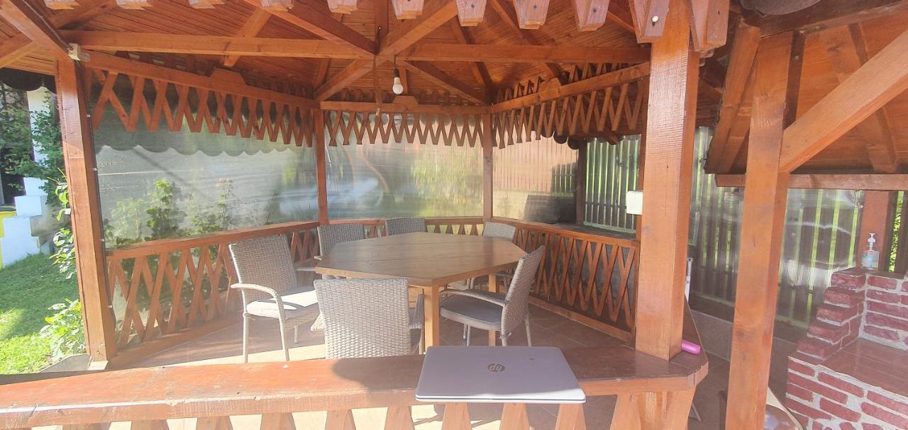 Casa Silvia Otel Căpăţîneni-Ungureni Dış mekan fotoğraf
