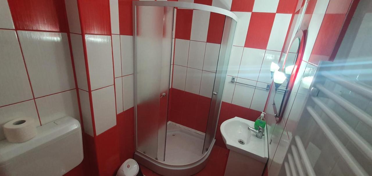 Casa Silvia Otel Căpăţîneni-Ungureni Dış mekan fotoğraf