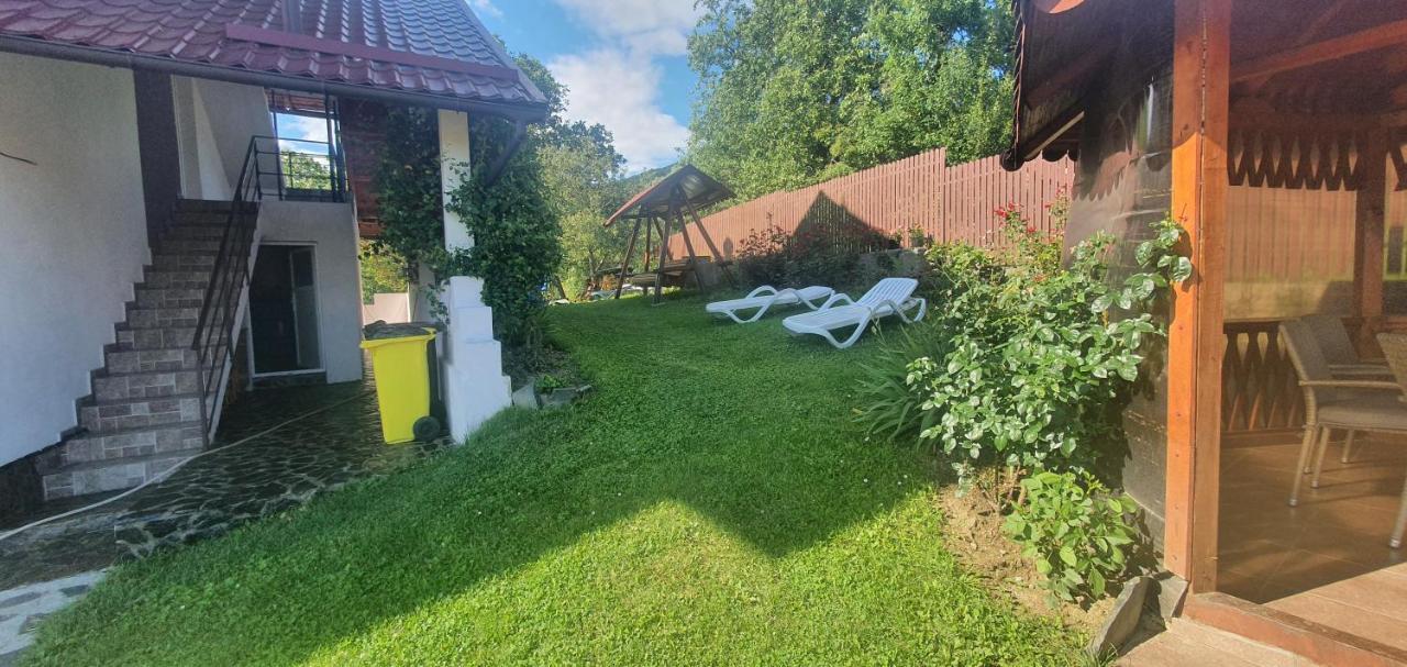 Casa Silvia Otel Căpăţîneni-Ungureni Dış mekan fotoğraf