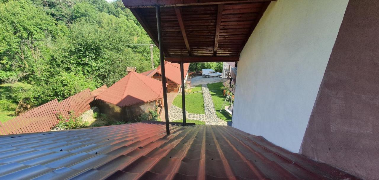 Casa Silvia Otel Căpăţîneni-Ungureni Dış mekan fotoğraf