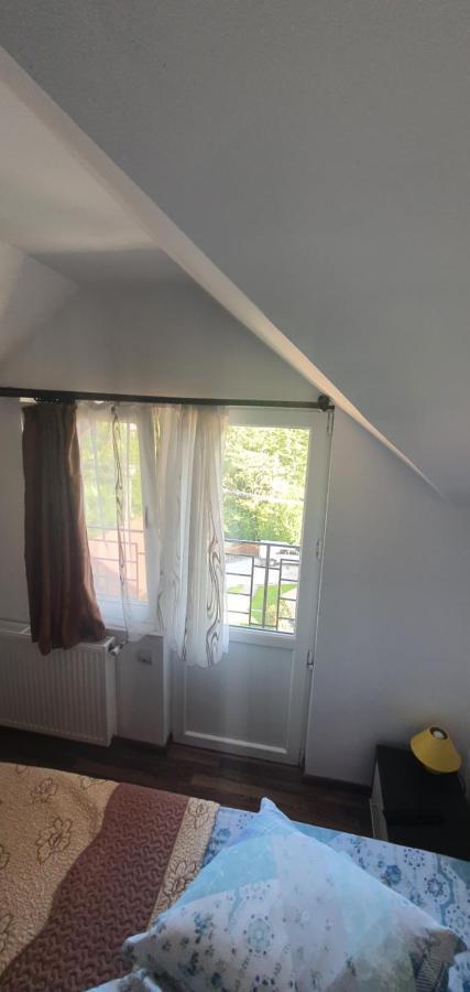 Casa Silvia Otel Căpăţîneni-Ungureni Dış mekan fotoğraf