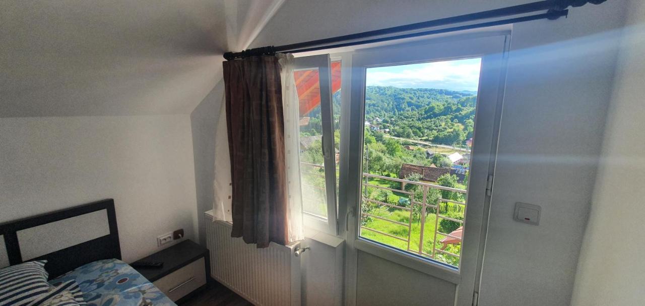 Casa Silvia Otel Căpăţîneni-Ungureni Dış mekan fotoğraf