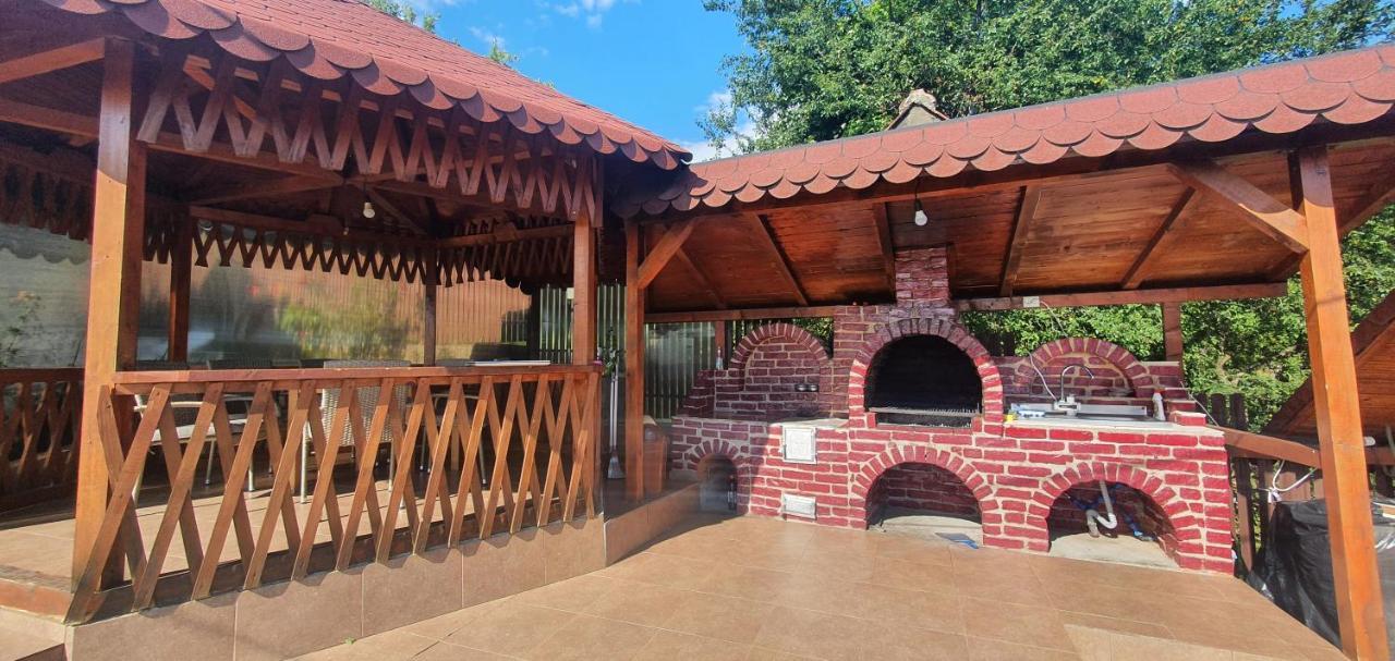 Casa Silvia Otel Căpăţîneni-Ungureni Dış mekan fotoğraf