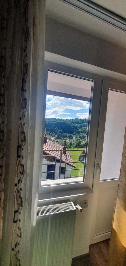 Casa Silvia Otel Căpăţîneni-Ungureni Dış mekan fotoğraf