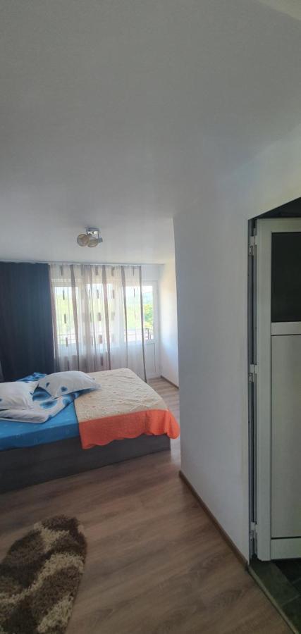 Casa Silvia Otel Căpăţîneni-Ungureni Dış mekan fotoğraf