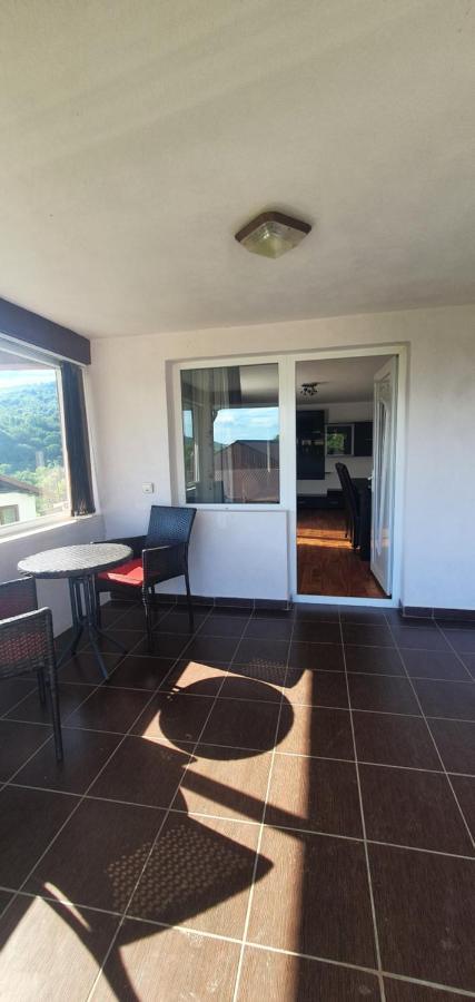 Casa Silvia Otel Căpăţîneni-Ungureni Dış mekan fotoğraf