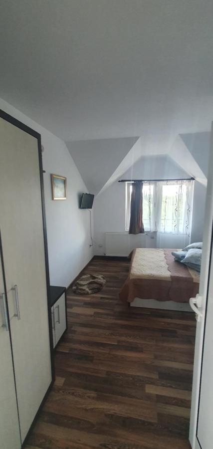 Casa Silvia Otel Căpăţîneni-Ungureni Dış mekan fotoğraf