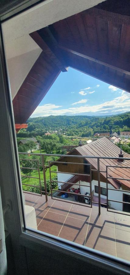 Casa Silvia Otel Căpăţîneni-Ungureni Dış mekan fotoğraf